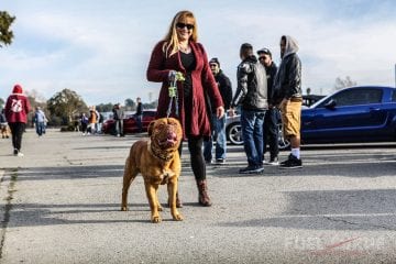 Cars and Coffee San Francisco, Make A Wish, Fuel Curve