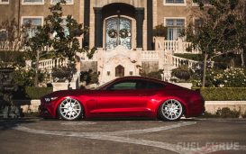 2017 Ford Mustang California Special, Mustang GT, Fuel Curve