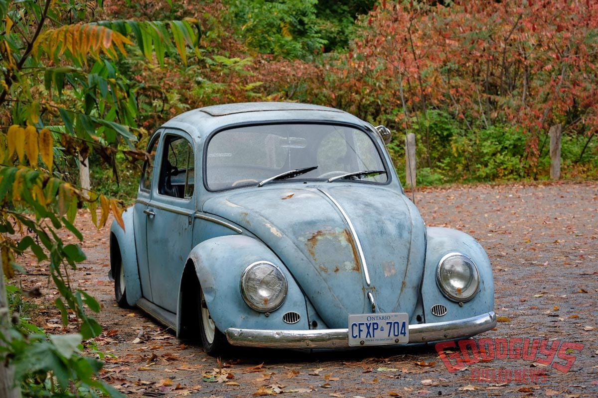 1965 VW Beetle, VW, VW Beetle, VW Bug, Volkswagen, 1965 Volkswagen